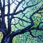 oak tree oak tree