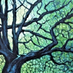 oak tree oak tree