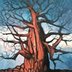 oude baobab oude baobab