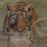 Tijger Tijger