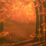 Vurige herfst Vurige herfst