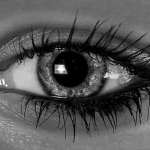 I see you I see you