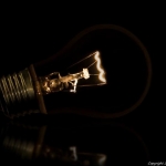 I see the light I see the light