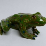 Groene kikker Groene kikker