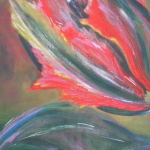Tulp Tulp