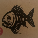 Fish Fish