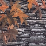 Muur met herfstbladeren Muur met herfstbladeren