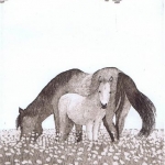 Paarden Paarden