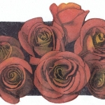 bosje rozen 2014 bosje rozen 2014