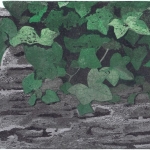 muur met groene klimop muur met groene klimop