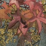 Herfstbladeren veelkleurig Herfstbladeren veelkleurig