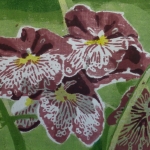 Orchidee no. 1 Orchidee no. 1