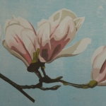 Magnolia Magnolia