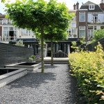 tuin_6 tuin_6