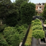 tuin_4 tuin_4