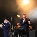 Madness, Night at the Park 2014