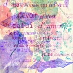 camus 6 camus 6