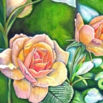 Rozen Rozen