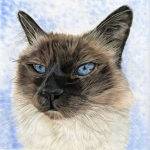 Norbert Norbert
