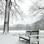 First snow First snow