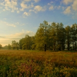 Morning Silence #5 Morning Silence #5