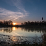 Biesbosch Biesbosch