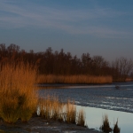 Biesbosch Biesbosch