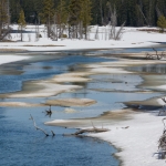 Yellowstone NP Yellowstone NP