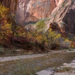 Zion NP Zion NP