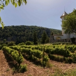 Vakantie Frankrijk juni 2016 Vakantie Frankrijk juni 2016