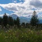Vakantie Frankrijk juni 2016 Vakantie Frankrijk juni 2016
