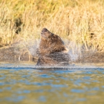 Alaska 2018 Alaska 2018
