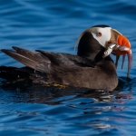 Alaska 2018 Alaska 2018