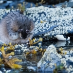 Alaska 2018 Alaska 2018