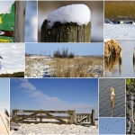 Winter Winter