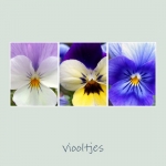 Bloemen Bloemen