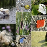 Wandelen Wandelen
