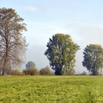 Herfst Herfst