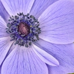 Tuin Tuin