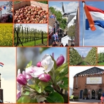 Wandelen Wandelen