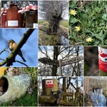 Wandelen Wandelen