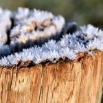 Winter Winter
