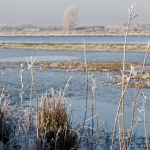 Hemelrijksewaard (Oijen) Hemelrijksewaard (Oijen)