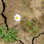 Hemelrijkse Waard Hemelrijkse Waard
