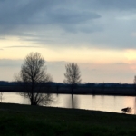Avondlicht Maas Avondlicht Maas