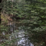 Lage Vuursche Lage Vuursche