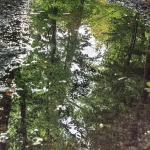 Broek bij Brummen Broek bij Brummen