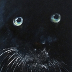 Black Panther Black Panther