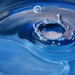 The Drop The Drop
