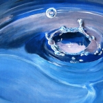 The drop The drop